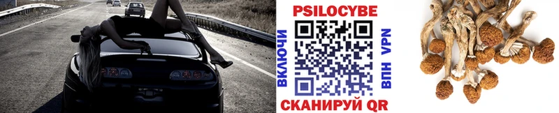 Псилоцибиновые грибы Cubensis  Междуреченск 